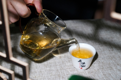 大益普洱茶 以禮儀之魂，塑品牌之韻——品牌與禮儀活動策劃方案